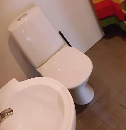 Sorila Studio טמפרה
