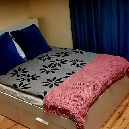 Sorila Studio * טמפרה